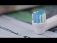 SB-17A 電動歯ブラシ頭