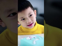 SN201 音響式電気歯ブラシ